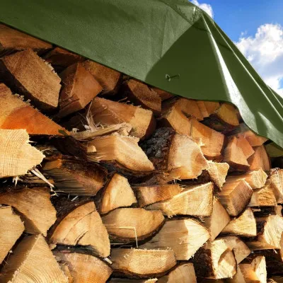 Krycia plachta s okami 2x4 m, 120g PE, zelená SPRINGOS PROTECT