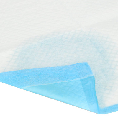 Tréningová podložka pre šteňatá 35x45 cm, 10ks SPRINGOS PA2010