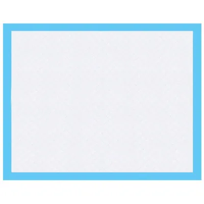 Tréningová podložka pre šteňatá 35x45 cm, 10ks SPRINGOS PA2010