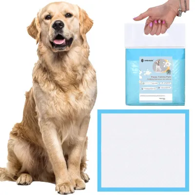 Tréningová podložka pre šteňatá 60x60 cm, 10ks SPRINGOS PA2016