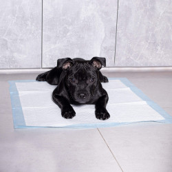 Tréningová podložka pre šteňatá 60x90 cm, 10ks SPRINGOS PA2019