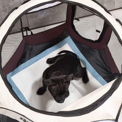 Prepravka pre psa / mačku 81 cm, béžovo-hnedá SPRINGOS PA1028