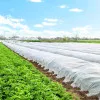Netkaná agrotextília 1,1m x 50m extra pevná SPRINGOS AG0001 biela
