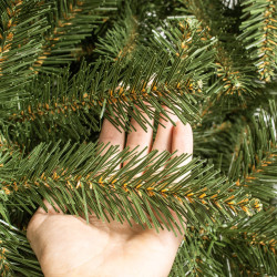 Vianočný stromček Smrek Royal kaukazský 220 cm