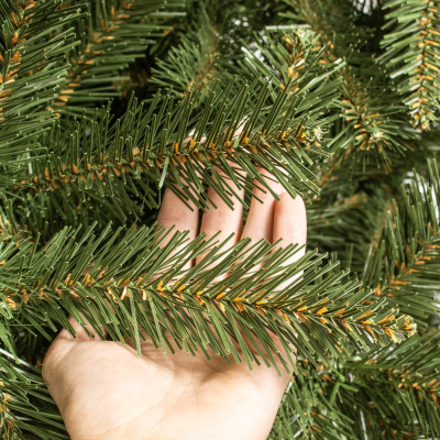 Vianočný stromček Smrek Royal kaukazský 220 cm