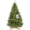 Vianočný stromček Smrek Royal kaukazský 220 cm