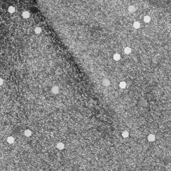 Vianočná mašľa s flitrami 19,5x21cm strieborná, vianočné dekorácie