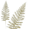 Vetvičky paprade 45cm zlaté sada 3ks, vianočné dekorácie
