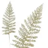Vetvičky paprade 45cm zlaté sada 3ks, vianočné dekorácie