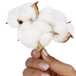 Kvety bavlny 5cm prírodná sada 12ks, vianočné dekorácie