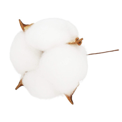 Kvety bavlny 5cm prírodná sada 12ks, vianočné dekorácie