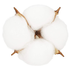 Kvety bavlny 5cm prírodná sada 12ks, vianočné dekorácie