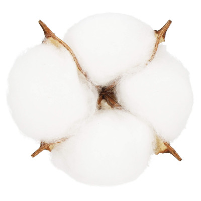 Kvety bavlny 5cm prírodná sada 12ks, vianočné dekorácie