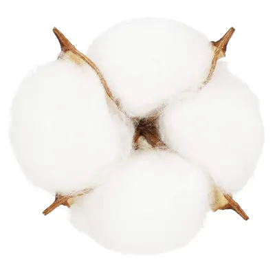 Kvety bavlny 5cm prírodná sada 12ks, vianočné dekorácie