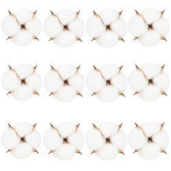 Kvety bavlny 5cm prírodná sada 12ks, vianočné dekorácie