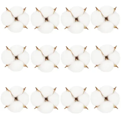 Kvety bavlny 5cm prírodná sada 12ks, vianočné dekorácie