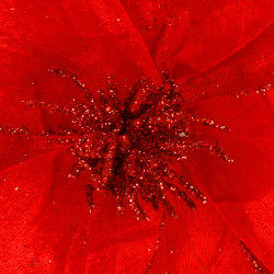 Magnólia na stonke 24x31cm červená, vianočné dekorácie