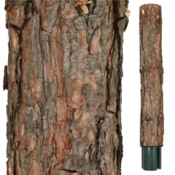 Vianočný stromček Borovica zasnežená na kmienku 180 cm