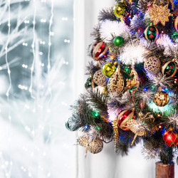 Vianočný stromček Borovica zasnežená na kmienku 220 cm