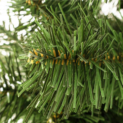 Vianočný stromček Borovica prírodná na kmienku 220 cm