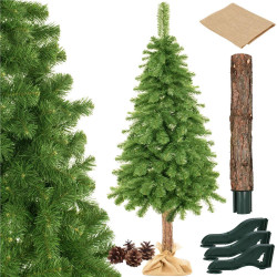 Vianočný stromček Borovica prírodná na kmienku 160 cm