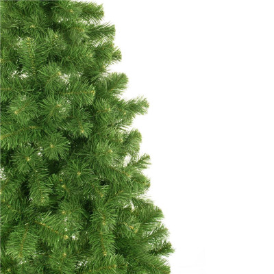 Vianočný stromček Borovica prírodná na kmienku 160 cm