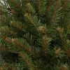 Vianočný stromček Smrek kaukazský 120 cm