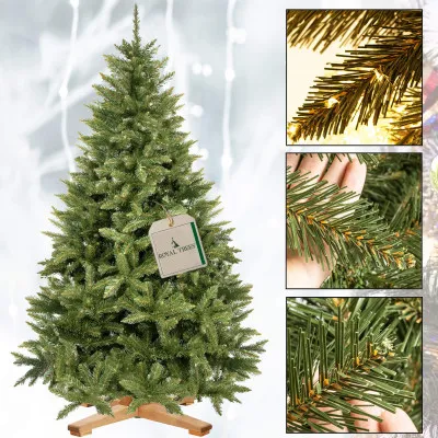 Vianočný stromček Smrek Royal kaukazský 240 cm