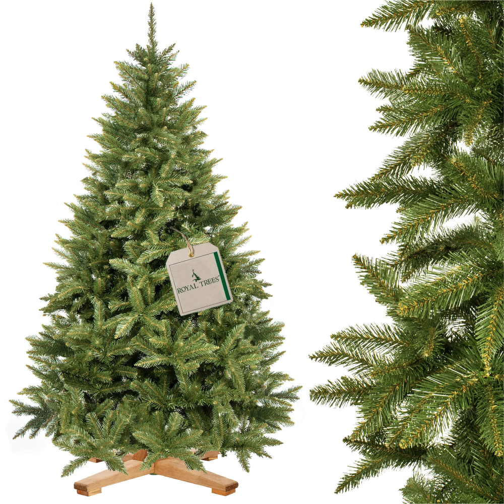 Vianočný stromček Smrek Royal kaukazský 240 cm