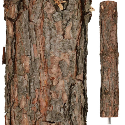 Vianočný stromček Smrek zasnežený na kmienku 220 cm