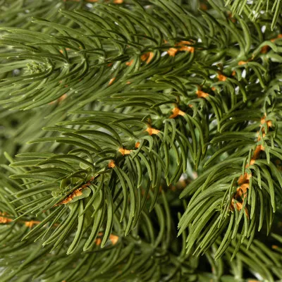 Vianočný stromček Borovica Premium prírodná 220 cm