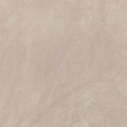 Poťah na stoličku elastický SPRINGOS HA5240 svetlo béžový zamat