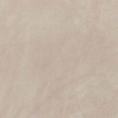 Poťah na stoličku elastický SPRINGOS HA5240 svetlo béžový zamat