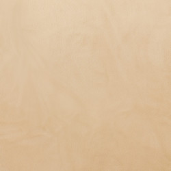 Poťah na stoličku elastický SPRINGOS HA5242 béžový zamat