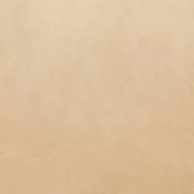 Poťah na stoličku elastický SPRINGOS HA5242 béžový zamat