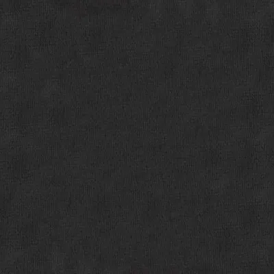 Poťah na sedák stoličky SPRINGOS HA5266 čierny