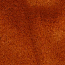 Termofor s plyšovým obalom Medveď 1l SPRINGOS HA5251 hnedý