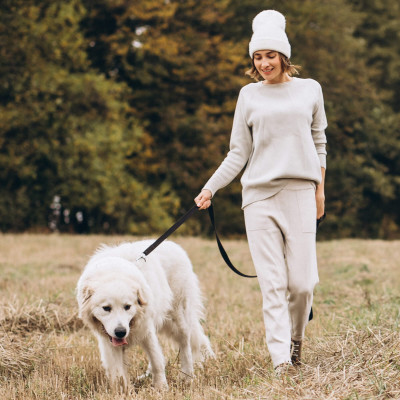 Stopovacie vodítko pre psa 10m 15kg SPRINGOS PA0334 čierne