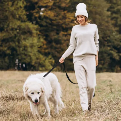 Stopovacie vodítko pre psa 10m 15kg SPRINGOS PA0334 čierne