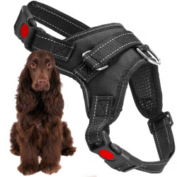 Postroj pre psa s rukoväťou veľ. L SPRINGOS PA0305 čierny