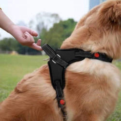 Postroj pre psa s rukoväťou veľ. L SPRINGOS PA0305 čierny