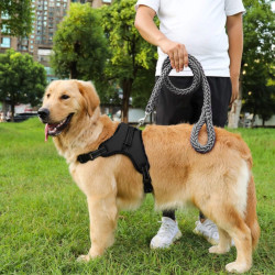 Postroj pre psa s rukoväťou veľ. M SPRINGOS PA0304 čierny