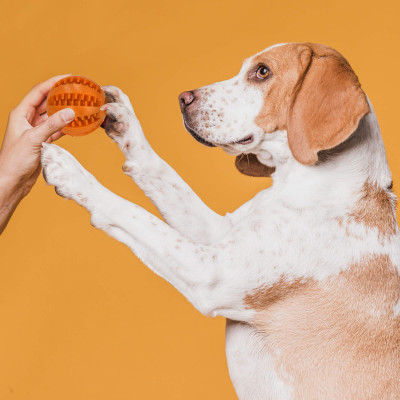 Interaktívna hračka pre psov - Loptička na maškrty SPRINGOS PA0291