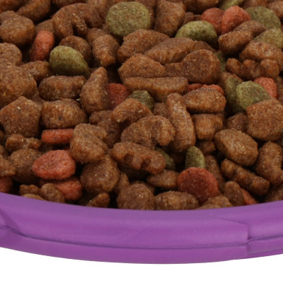 Hračka pre psov - Frisbee 18 cm SPRINGOS PA0293