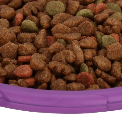 Hračka pre psov - Frisbee 18 cm SPRINGOS PA0293