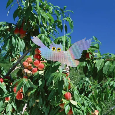 Reflexný odpudzovač vtákov Sova 40x24 cm SPRINGOS GA0069