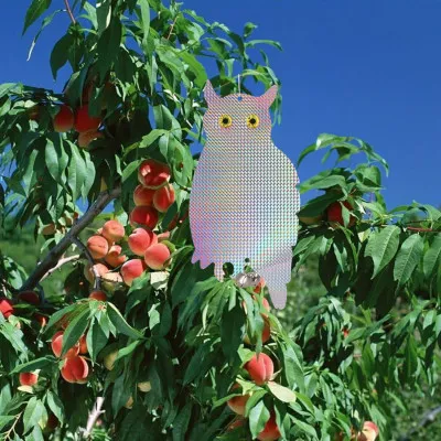 Reflexný odpudzovač vtákov Sova 41x20 cm SPRINGOS GA0070