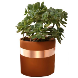 Medená páska proti slimákom 10 m SPRINGOS GA0071