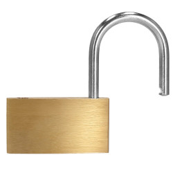 Visiaci zámok na kľúč SPRINGOS GA0079 zlatý