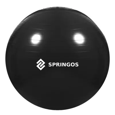 Gymnastická lopta 65 cm + pumpička SPRINGOS DYNAMIC čierny